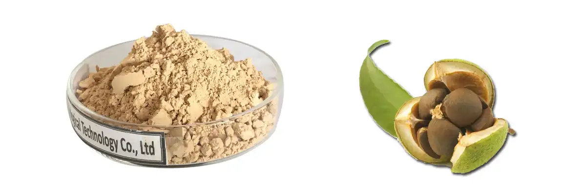 Camellia Oleifera Seed Extract .jpg